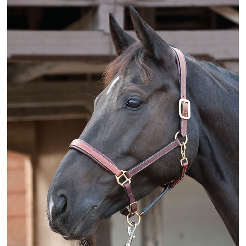 Harnais cuir horse guard - harnais,