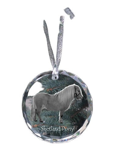 Poney shetland boule avec - shetland,