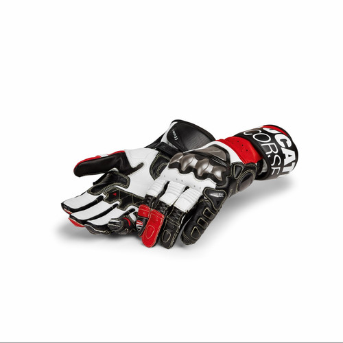 Ducati dainese corse - c6, racing