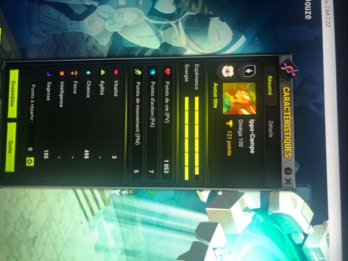 Compte dofus lvl 200 - compte,