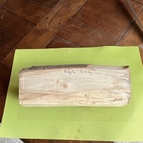 Bois eucalyptus bûche non - d’eucalyptus,
