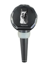 Malinois Belge Chien de Berger