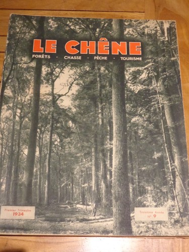 Chene forêts chasse - forêts,