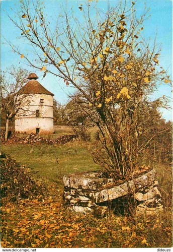 Carte postale pigeonniers - -,