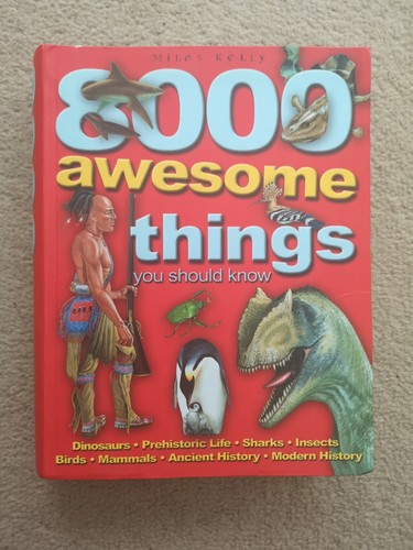 8000 awesome things - awesome, you