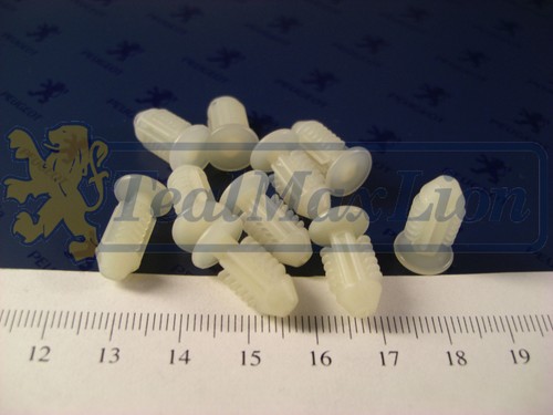 Agrafes fixation des - 10,