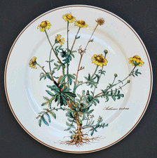 Sublime ASSIETTE PLATE signée