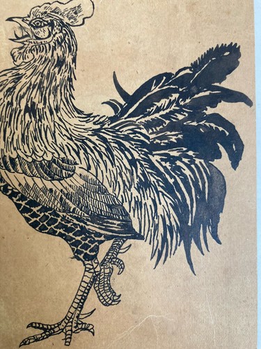 Beau dessin xixe - dessin, poule