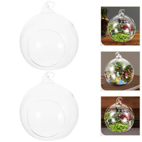 Pcs terrarium verre - pcs, en