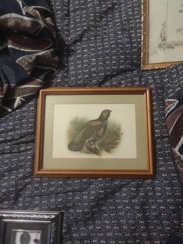 Ancien tableau decor animaux - decor,