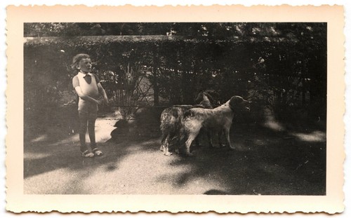 Enfants avec chiens dans - , le