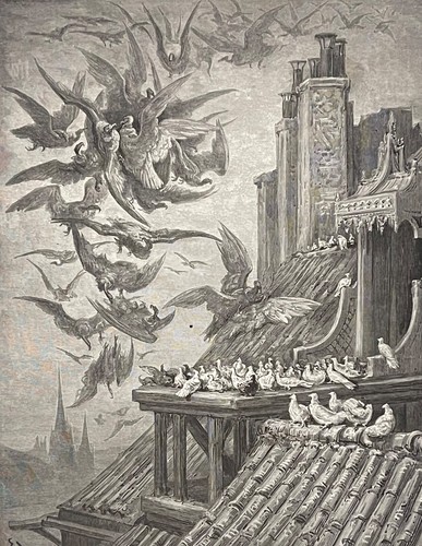 Vautour les pigeons - le,