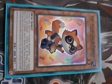 Bébé Raton Laveur Ponpoko