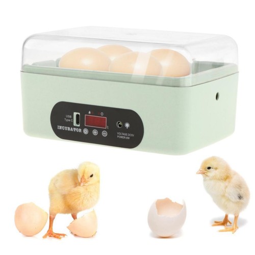 Incubateur œufs - incubateur,