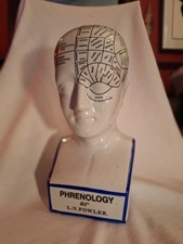 PHRENOLOGY HEAD  MEDICAL BUST