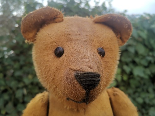 Ours ancien fadap - ,