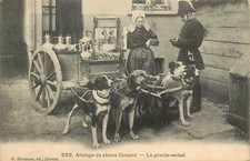 Postcard Bouvier des Flandres Pulling Milk Cart Belgian Woman Vlaamsche Melkboer