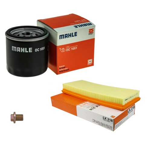 Mahle inspection set pour ford - mahle,