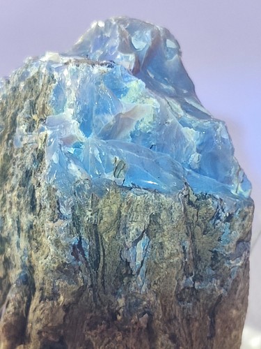 Ambre pseudomorphose bois - uv,