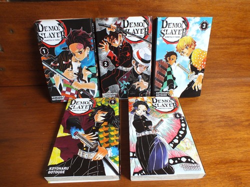 Lot tomes manga demon - tomes,