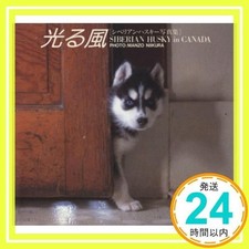 Livre photo Shining Wind