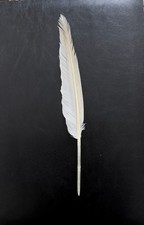 1 GRANDE PLUME OIE BLANCHE