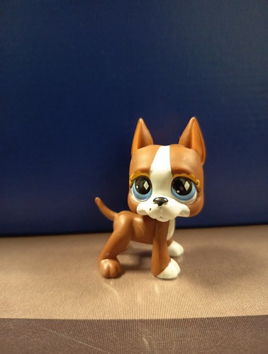 Authentic lps littlest - authentic,