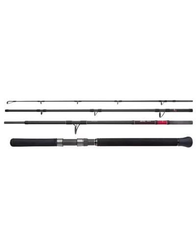 Canne pêche stc xr - canne,