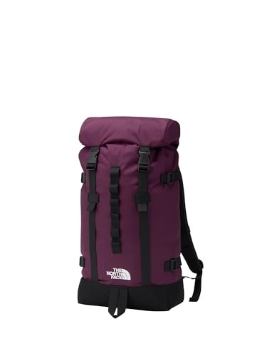 Sac dos the north face - the,