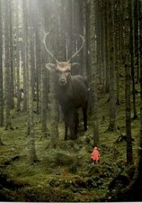 Mystical, Haunting, Outdoorsman, Nature, Deer Society 6 Sold Out Large Mural 8x8