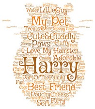 PHOTO ART MOT HAMSTER