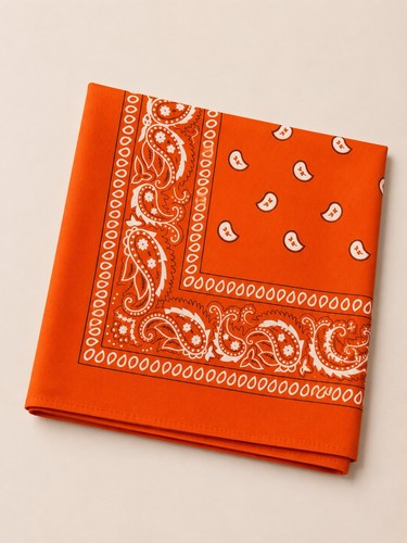 Bandana motif paisley - , –