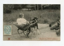 Antique dog harness. 