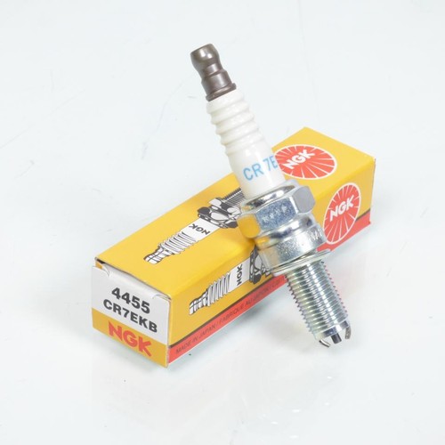 Bougie allumage ngk - bougie, pour