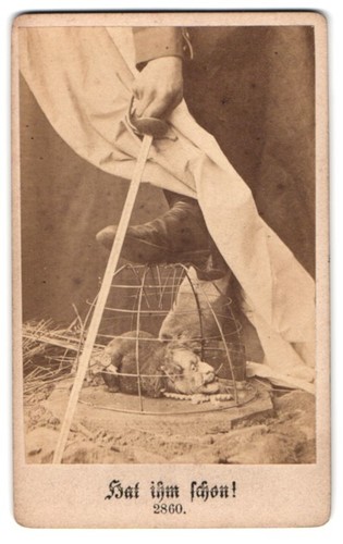 Photographie napoléon iii rat - photographie,