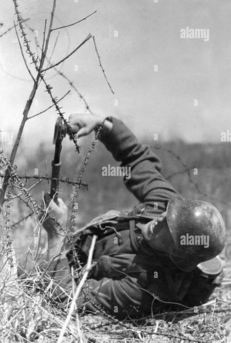 Cisaille allemande wwii coupe - cisaille,