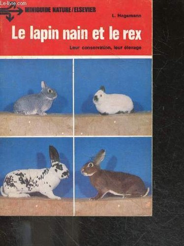 Lapin nain rex leur - lapin,