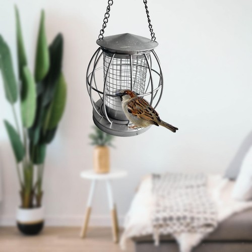 Oiseau cage plein air - cage, en