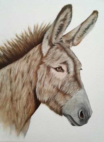 Peinture âne huile sur - peinture,,