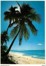 New Caledonia - Ouvéa - 30 jms of white sandy beaches - CPM - See Scans