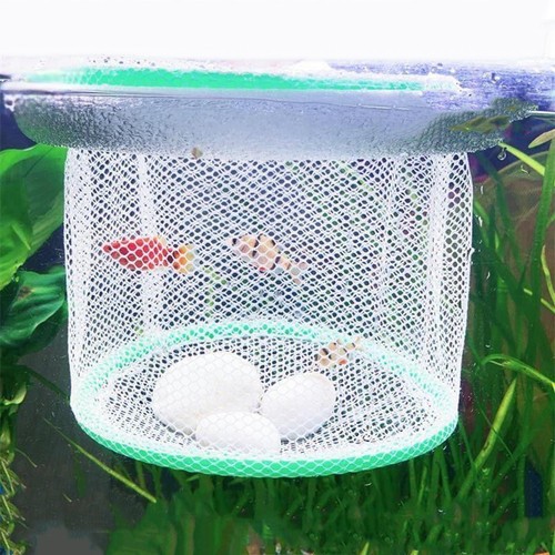 Filet élevage aquarium à - filet, d'aquarium