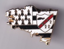 RARE PINS PIN'S .. ART UNIVERSITE FALUCHE FACULTE BRETAGNE BREIZH B.A DROIT ~GB