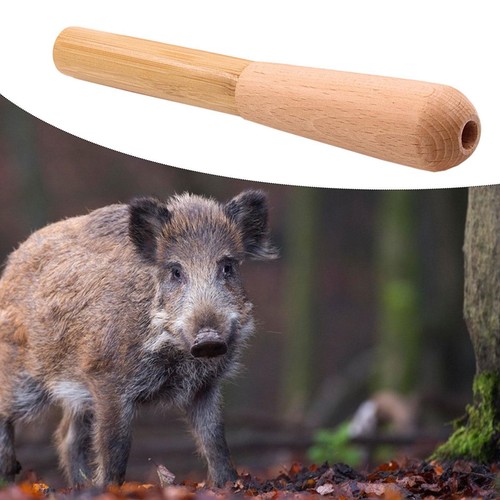 Appeau chasse sanglier - appeau,