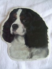 GRAND AUTOCOLLANT  - motif