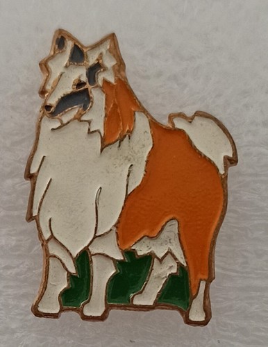 Pins chien colley berger - chien, colley,