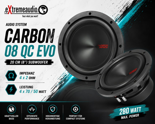 Audio system carbon - carbon, 08