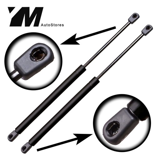 2xtailgate gas charged lift - 2xtailgate,