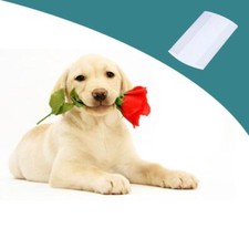 ;Peigne  lentes double face