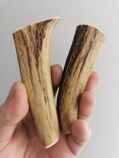 320. Ébauches en corne de