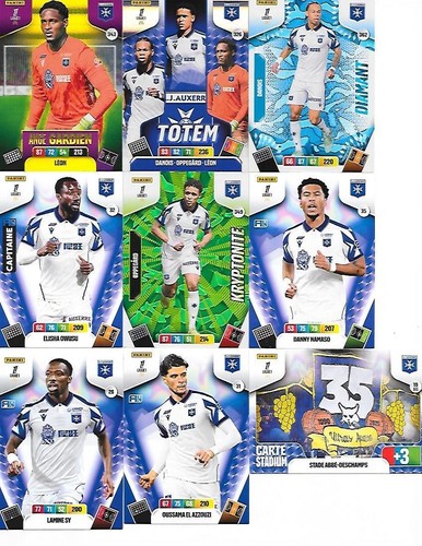 Auxerre panini adrenalyn - aj,